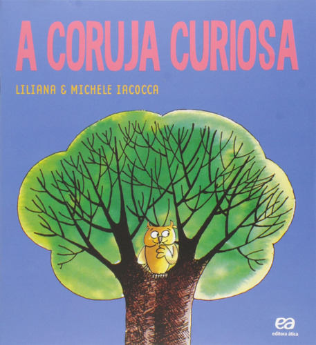 A coruja curiosa, de Iacocca, Liliana. Série Labirinto Editora Somos Sistema de Ensino em português, 2015