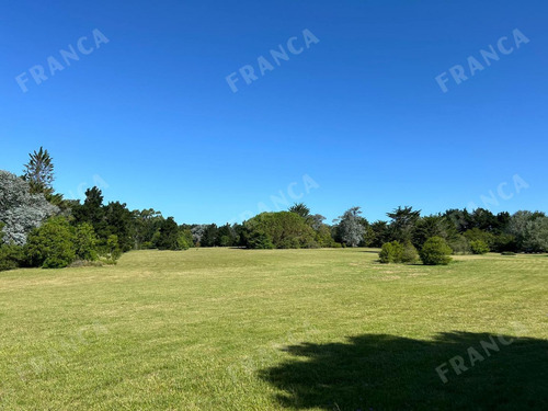 Chacra De 6 Hectáreas En Venta En José Ignacio. (ref: Fro-891)