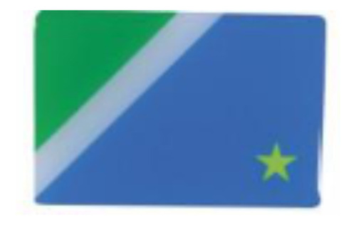 Emblema Resinado Da Bandeira Do Mato Grosso Do Sul