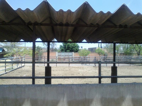 Atencion Desarrolladores Inmobiliarios Terreno En Esquina Col Francisco Silva Romero Tlaquepaque