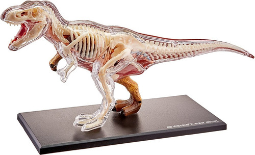 Famemaster 4d Vision T-rex - Modelo De Anatomía