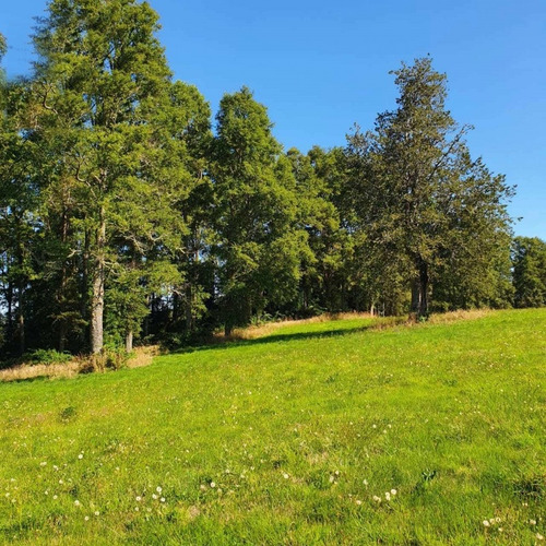 Parcelas A 15 Minutos De Frutillar 9 Millones De Descuento