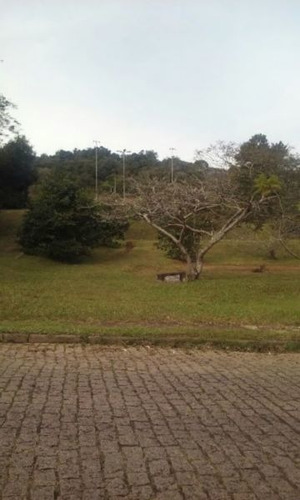 Imagem 1 de 3 de Terreno - Ipanema - Ref: 361494 - V-mi15176