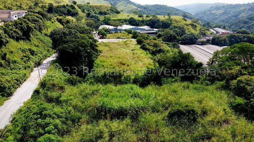 Terreno En Venta En Los Anaucos Cda 24-8682 Yf
