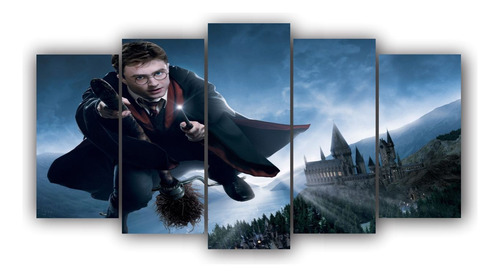 Cuadro Decoración De Harry Potter Magia De 5 Piezas - 04