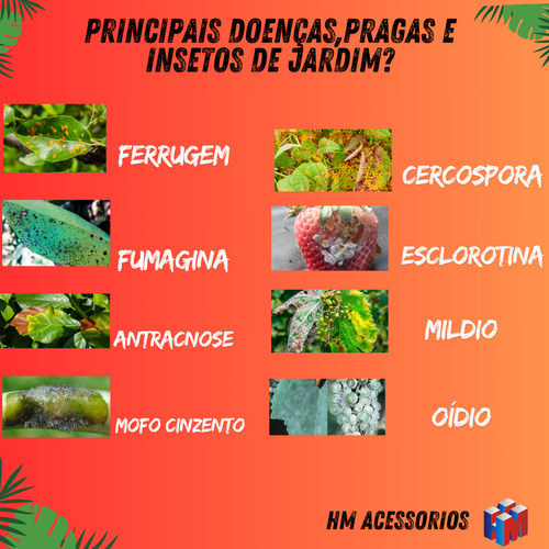 Kit 04 Fungidex 50ml Poderoso Controle Doenças Pragas Jardim