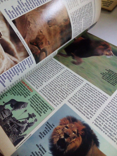 Imagen 5 de 5 de Revista Conozca Más El León Por Qué Es El Rey Año 6 No. 5