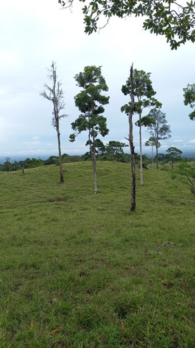 Imagen 18 de 18 de Quintas De 5000 M2 En Sarapiquí Con Y Sin Construcción Desde 25 Millones De Colones