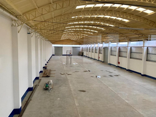 Imagen 9 de 30 de Alquilo Galpón 1800 M2 300 M2 Ofi Y Playa 500 M2 Neuquen