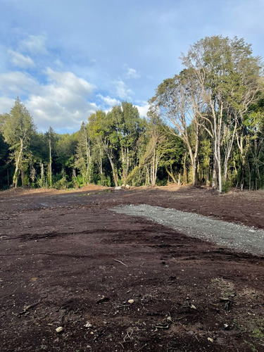 Espectacular Parcela Con Bosque En Condominio Las Tranqueras