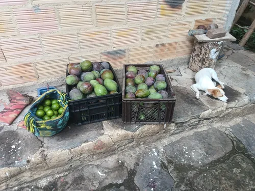 Finca De Descanso