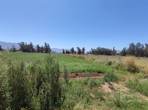 Terrenos Agrícolas Con Agua Venta María Pinto Curacavi