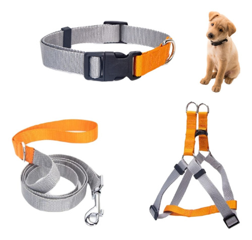 Arnés Pechera Collar Y Cuerda Para Perros Mascotas Talla S