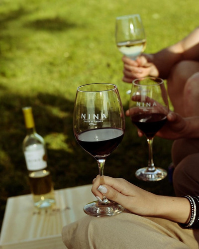 Imagen 4 de 10 de Vino Nina Gran Malbec 750ml. - Envíos