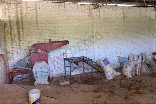 Venta De Increíble Rancho Al Mejor Precio En Tetecala, Morelos,ideal Para Inversionistas Y Ganad...