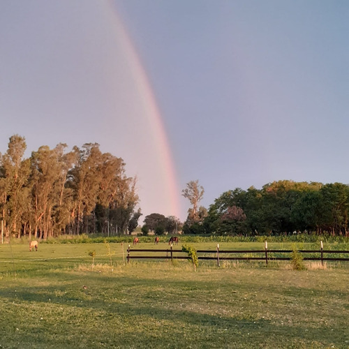 Imagen 17 de 17 de Cabañas Rurales El Encuentro Lobos