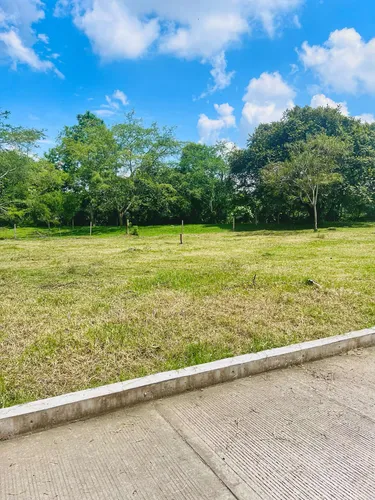 Lotes Campestres En Venta - Ginebra Valle Del Cauca