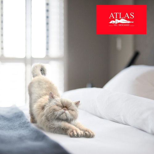 Colchón King Size Atlas Serenity Mas Pack Con 2 Almohadas