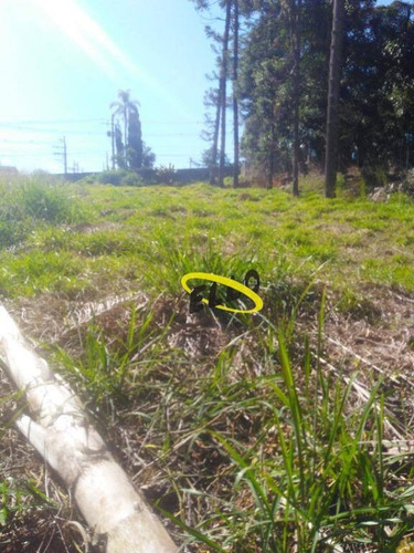 Imagem 3 de 9 de Terreno À Venda, 1015 M² Por R$ 300.000,00 - Chácara Represinha - Cotia/sp - Te0819