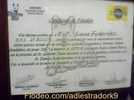 Adiestrador Canino Zona Sur