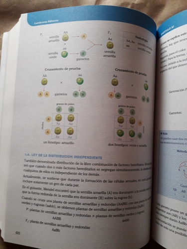 Imagen 10 de 10 de Libro De Biologia Tomo 1 Lumbreras