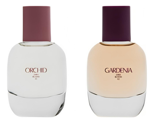 Zara Orchid + Perfume De Gardenia Para Las Mujeres Ns1ks