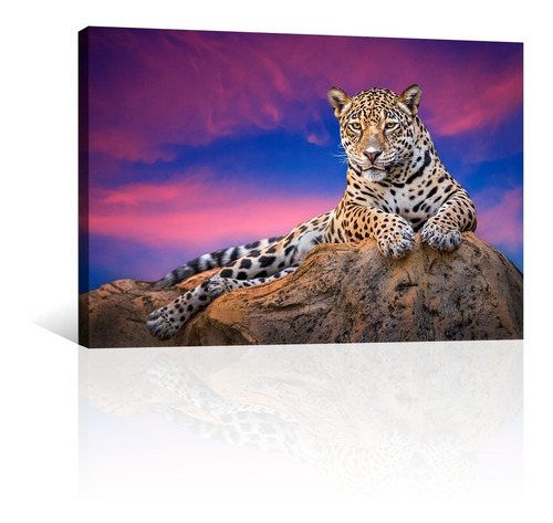 Cuadro Decorativo Animales Jaguar Canvas Posando En Roca
