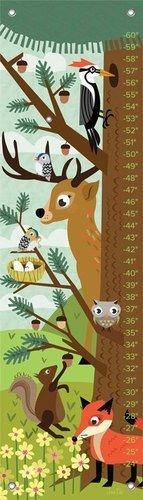 Oopsy Daisy Growth Charts Woodland Creatures Por Jenn Ski, 1