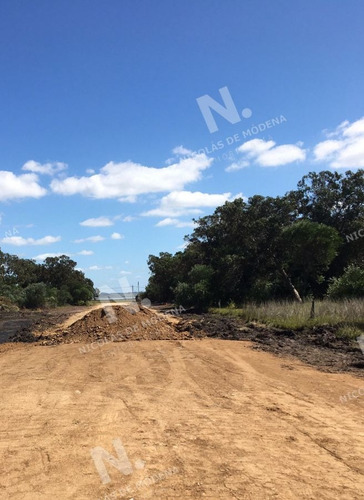Imagen 3 de 3 de Terreno En José Ignacio, Santa Mónica - Jose Ignacio Santa Monica