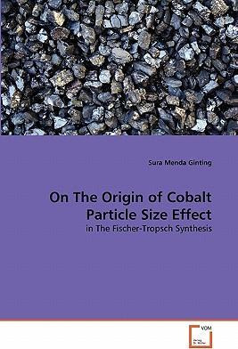Libro On The Origin Of Cobalt Particle Size Effect - Sura...
