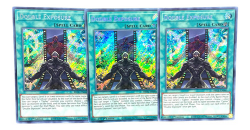 Double Expousure Brothers Of Legend Yugioh