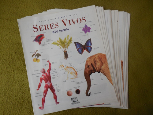 Colecciones Comercio Enciclopedia Visual De Los Seres Vivos (Usado)