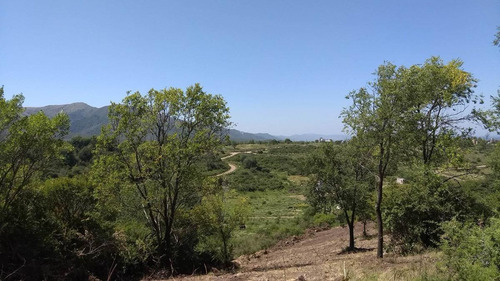 Vendo Terreno En Villa Giardino