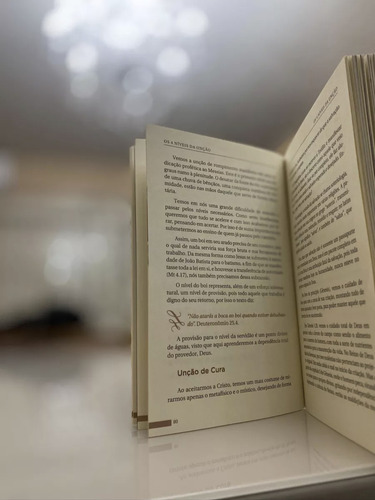Livro Os 4 Níveis Da Unção - Edição Atualizada