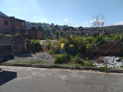 Terreno À Venda, 250 M² - Jardim Fortaleza - Guarulhos/sp - Te0049
