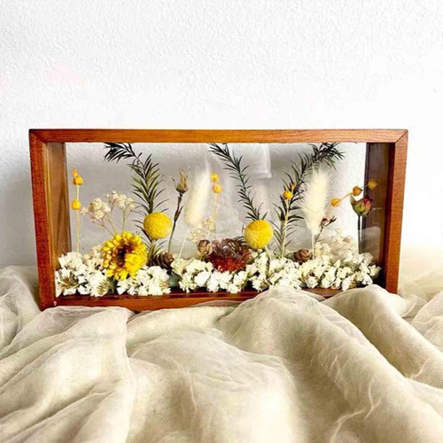 Marco, Vitrina De Flores Secas, Rectangular, 10 Pulgadas