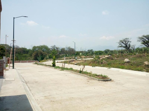 Terreno En Venta San Isidro Palotal