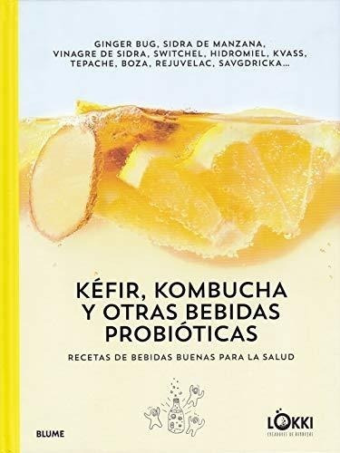 Kefir Kombucha Y Otras Bebidas Probioticas Recetas De Bebida