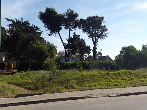 Imagen 7 de 7 de Vendo Lote Multifamiliar En Valeria Del Mar A 100m Del Mar