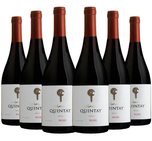 6 Vinos Quintay Clava Malbec