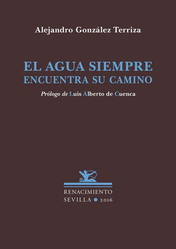 El Agua Siempre Encuentra Su Camino, De González Terriza, Alejandro. Editorial Renacimiento, Tapa Blanda En Español