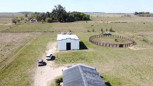 Imagen 6 de 19 de Campo - Coronel Brandsen