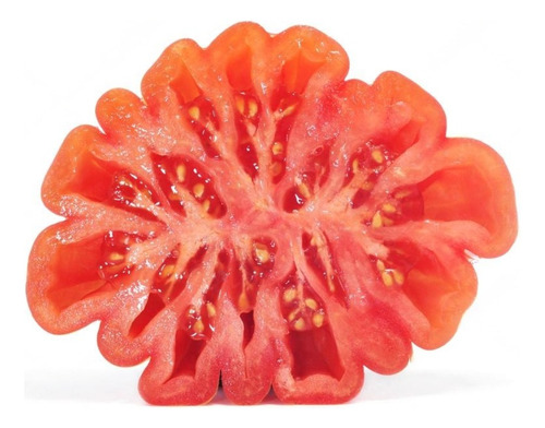 Semillas Tomate Zapoteco Variedad Mexicana