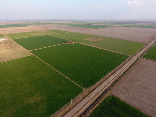 Venta Campo Pilar Santa, Fe. 33 Hectáreas Agrícolas.