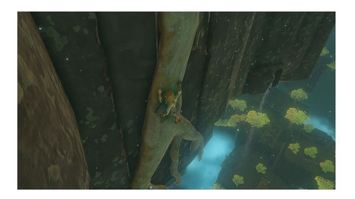 The Legend Of Zelda Tears Of The Kingdom ::.. Switch
