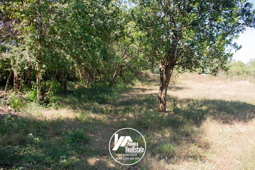 Imagen 6 de 11 de Venta De Finca Agricola En Masaya