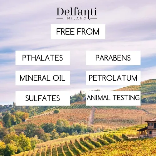 Delfanti-milano Vitamina C Y Manteca De Karité Paquete D