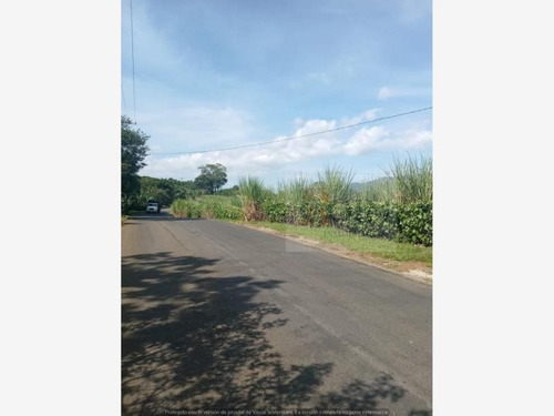 Imagen 3 de 4 de Terreno En Venta Guadalupe Barreal