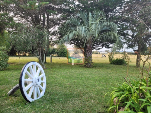 Imagen 15 de 26 de Campo De 34 Hás Con Casa Ruta 12 Pueblo Edén