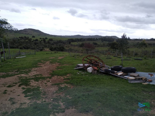 Imagen 13 de 30 de Vendo Excelente Chacra De 39 Hectáreas Para Granja Turística O Tambo, Aigua, Punta Del Este - Aiguá Aiguá